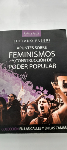 Apuntes Sobre Feminismos Y Construccion De Poder Popular