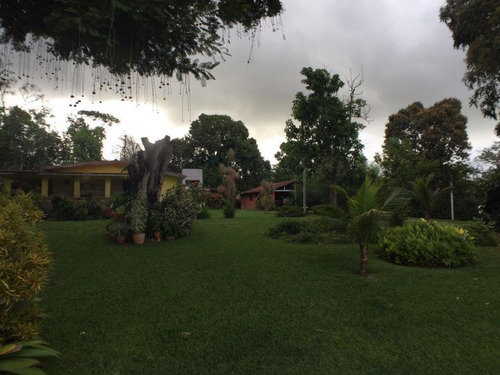 Imagem 23 de 30 de Casa Com 3 Quartos À Venda, 250 M² Por R$ 1.350.000,00- Aldeia - Camaragibe - Ca0151