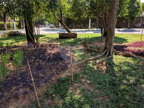 Imagem 20 de 20 de Terreno No Jardim Marajoara - Local Nobre! - Reo48952