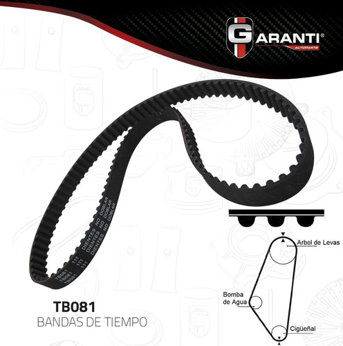 Banda Tiempo Para Pontiac Grand Am 1987 - 1988 (garanti)