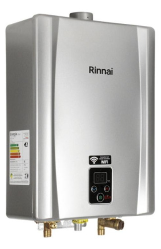 Aquecedor Rinnai 21 Litros Prata E21 Feh Gn + Ligação 40cm Cor Prateado 110v/220v