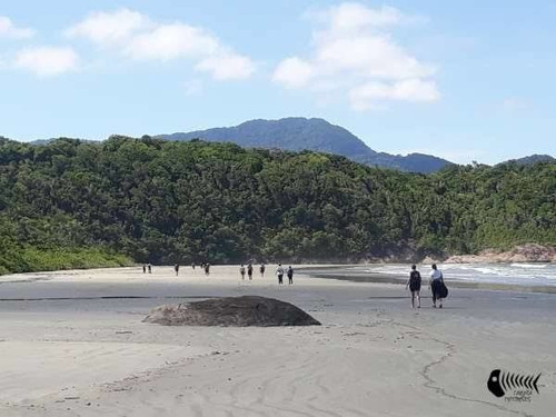 Lotes 250m Na Praia! Em Peruíbe Entradas A Partir De R$6.900