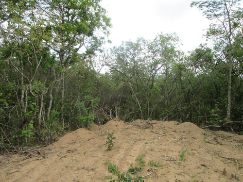 Imagem 15 de 15 de Terreno Para Venda Em Esmeraldas, Floresta Encantada - T23_1-1019445