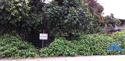 Imagem 4 de 9 de Terreno Plano Com Escritura Na Estrada De Mazomba Em Itaguaí/rj - 313 - 34596787