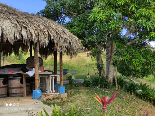 Imagen 15 de 28 de Venta De Hermosa Finca En El Estado Lara