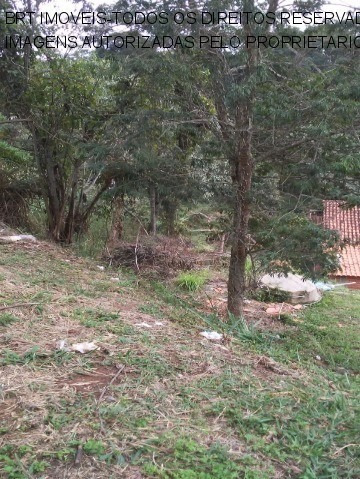 Imagem 5 de 6 de Terreno - Te00137 - 68088456