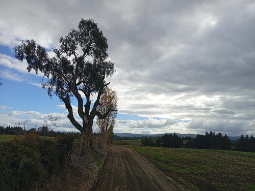 Terreno Ubicado A 6 Km De La Union, Sector Cudico