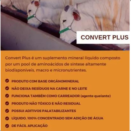 Convert Plus Aumente O Peso De Seu Gado