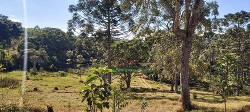 Imagem 9 de 9 de Chácara Com 1 Dormitório À Venda, 400 M² Por R$ 70.000,00 - Zona Rural - São Luiz Do Paraitinga/sp - Ch0265