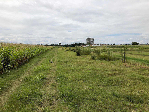 Imagen 3 de 4 de Se Vende Terreno(precio Negociable)