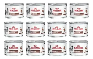 Royal Canin Recovery Caja 12x195 Gr