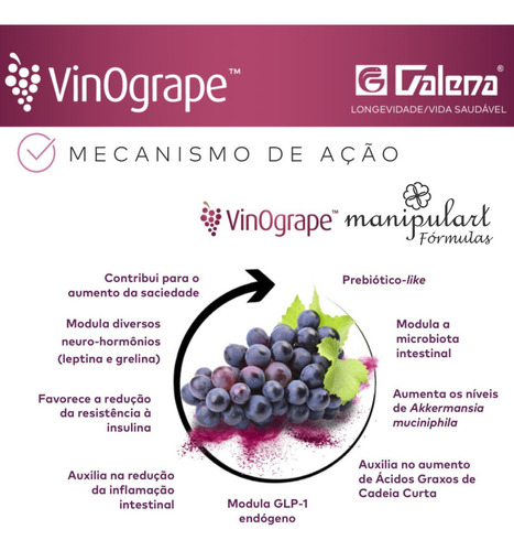 Vinogrape 600mg Galena Selo Autentico 30 Cápsulas Sabor Sem Sabor