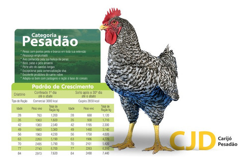 Imagem 3 de 3 de Ovos Galados De Caipirao Mixto