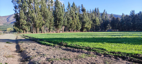 Parcela A Orilla De Camino Naltagua, De 5.000 M2