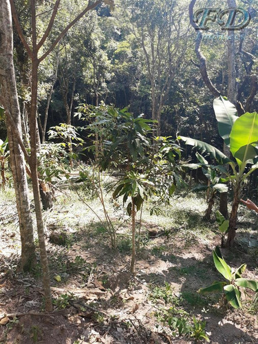 Chácaras Com Lago À Venda Em Mairiporã/sp - Compre O Seu Chácaras Com Lago Aqui! - 1475548