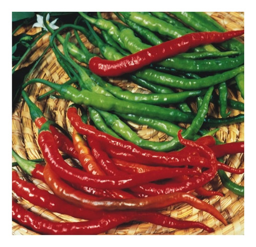 Sementes De Pimenta Cayenne Long Slim Env C/ 400mg