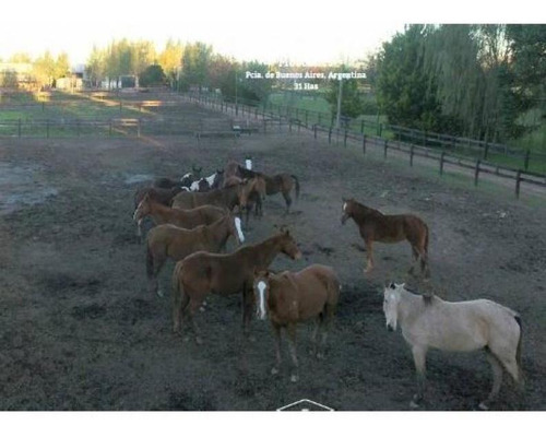 Imagen 21 de 22 de Campo Para Diversos Negocios