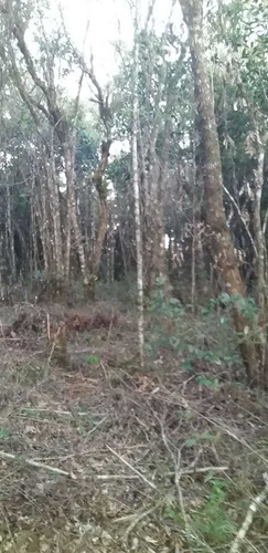 (k.a) Lotes Planos Em Otima Região - 1.000m²