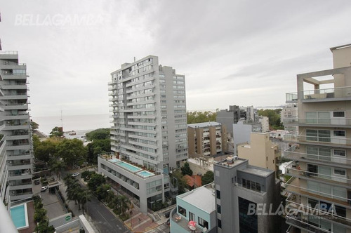 Hermoso Departamento En La Palmera