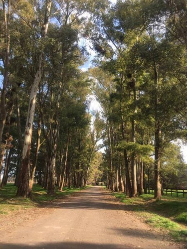 Imagen 6 de 6 de Lotes De Terreno - Venta - Haras San Pablo - Oportunidad - General Rodriguez Financia