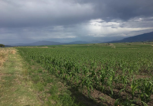 Terreno En Venta En Amealco Queretaro