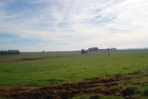 Campo En Venta En Garzón Rural