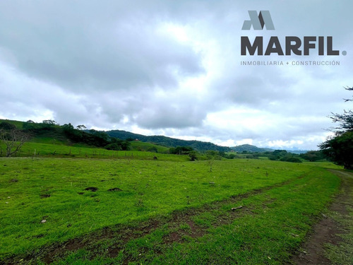 25 Hectáreas En Venta A Lado De La Hacienda San Antonio Coma