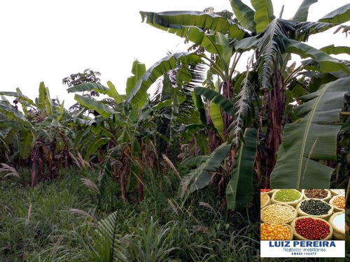 Imagem 15 de 15 de Fazenda À Venda No Vale Do Araguaia - To - De 22 Alqueirões (dupla Aptidão) - 1651