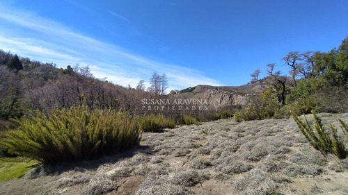 Imagen 23 de 30 de Susana Aravena Propiedades Terreno - San Martin De Los Andes
