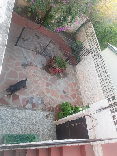Imagen 7 de 12 de Casa En Venta 6 Amb Con Cochera