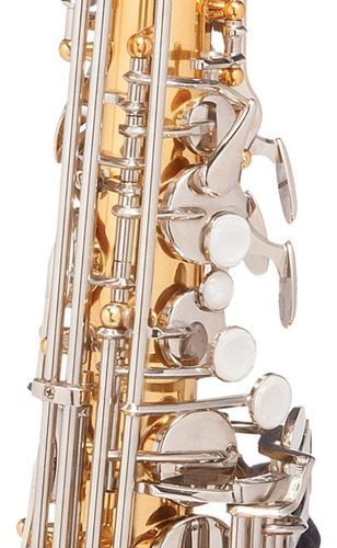 Sax Alto Corpo Laqueado Niquelado Michael Cód. Wasm32 C/ Est