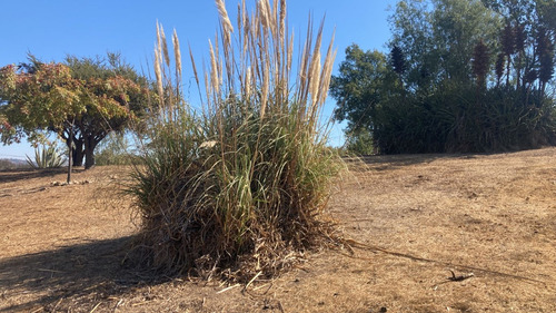 Vendo Parcela En Hacienda Los Aromos A Minutos De Limache