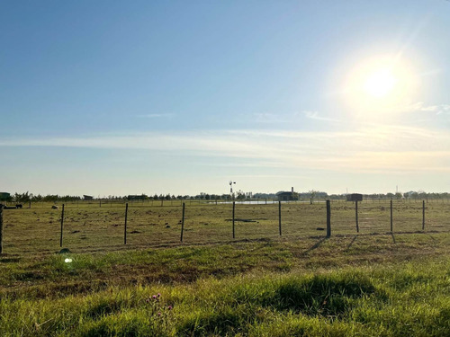 Imagen 2 de 20 de Venta Chacra 15 Hectareas Cañuelas Buenos Aires