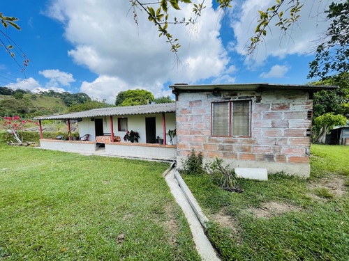 Finca Económica En Venta En San Roque, Antioquia.