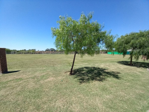 Imagen 22 de 22 de Terreno - San Ramiro