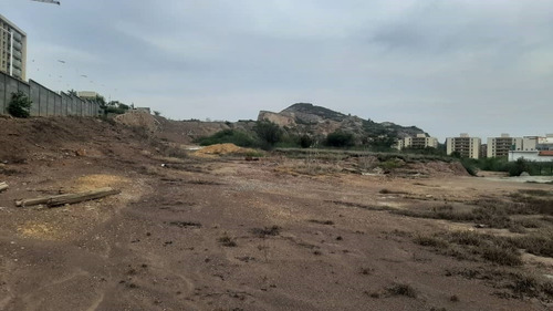 Imagen 1 de 7 de Terreno En Venta, Avenida Fabricio Ojeda, Lecheria