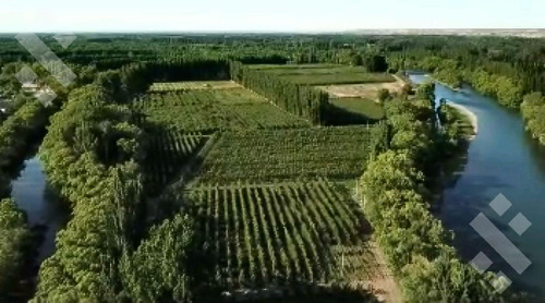 En Venta Chacra De 65 Has, Isla Adelina, Centenario Neuquén.