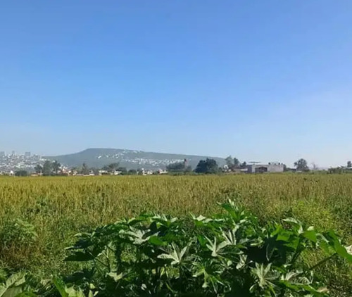 Se Venden 10 Hectáreas Irapuato Gto