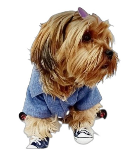 Roupinha Pet Camisa Jeans Pet Roupa Cachorrro Gato