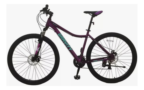 Bicicleta Mountain Bike R29 Cambio Shimano Dabobm Gravity Violeta M/l