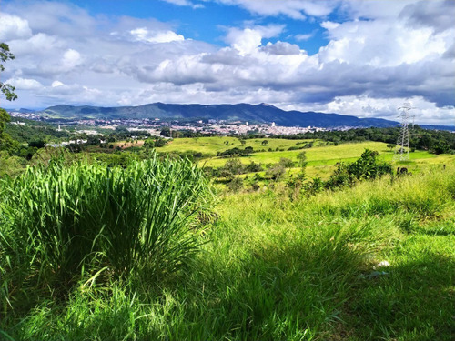 Imagem 5 de 8 de Atibaia Sp Área 16.000 M². Documentação Ok. Cód. Abl-1