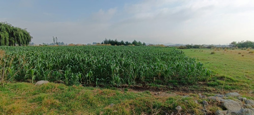 Venta De Terreno En Zinacantepec