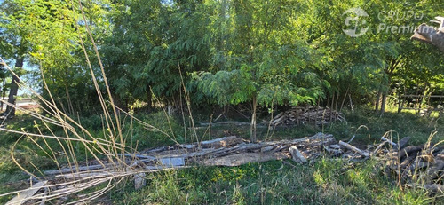 Parcela De 5000mts2 En Venta En Sector Los Junquillos