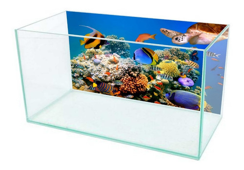 Papel De Parede Adesivo Person. Mar Aquario 40cm X 1,30 Mts