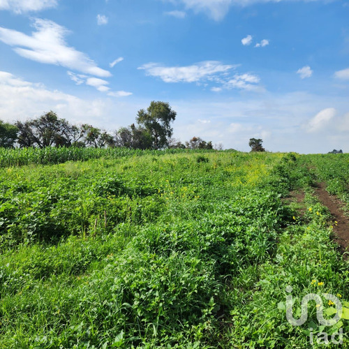 Venta Terreno 0 Ambiente San Antonio Zoyatzingo
