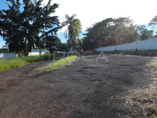 Imagem 3 de 6 de Aluguel De Rural / Chácara Na Cidade De São Carlos 11248