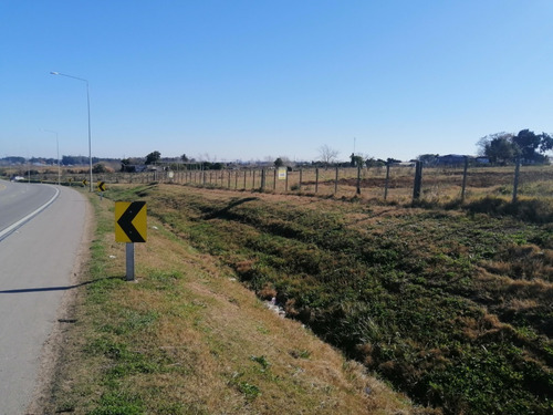 Imagen 3 de 12 de Chacra 1.5 Hectarea En Venta - 75 Metros De Frente A La Ruta 102 Km 38.500