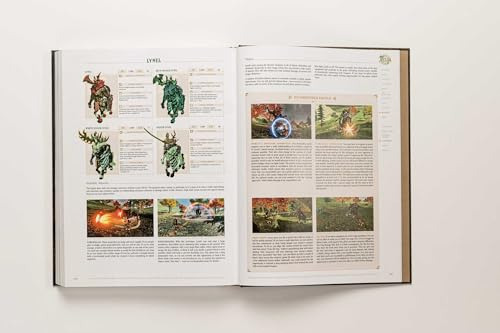 The Legend Of Zelda: Tears Of The Kingdom: La Versión Compl