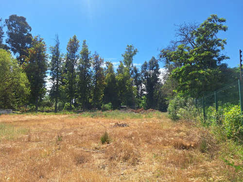 Terreno Con Gran Galpón, Bodegas, Oficinas Y Casa