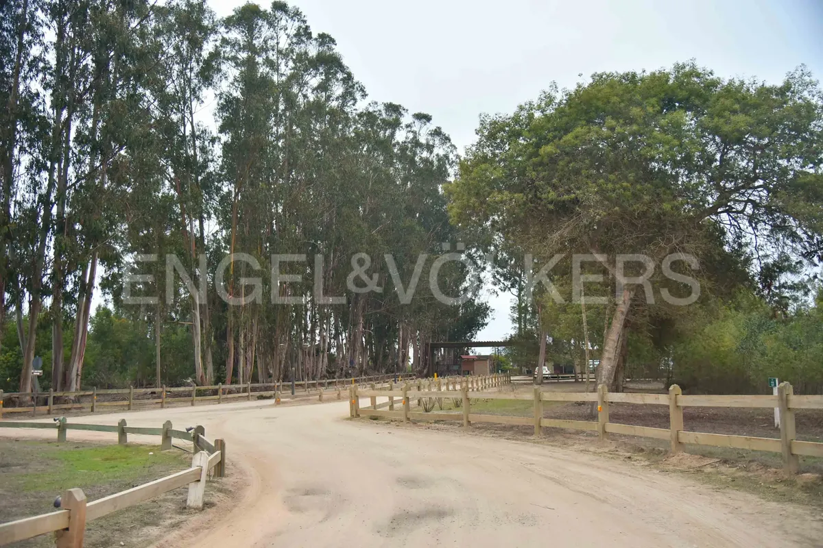 Imagen 4 de 14 de Casa Nueva Sector Hacienda Algarrobo